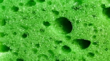 Sünger doku closeup arka plan