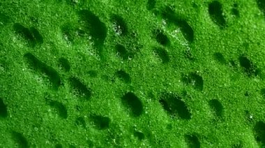 Sünger doku closeup arka plan