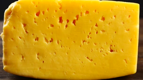Trozo de queso — Vídeo de stock