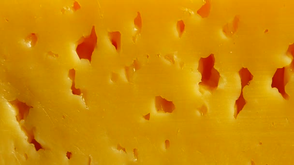 Кусок сыра — стоковое видео