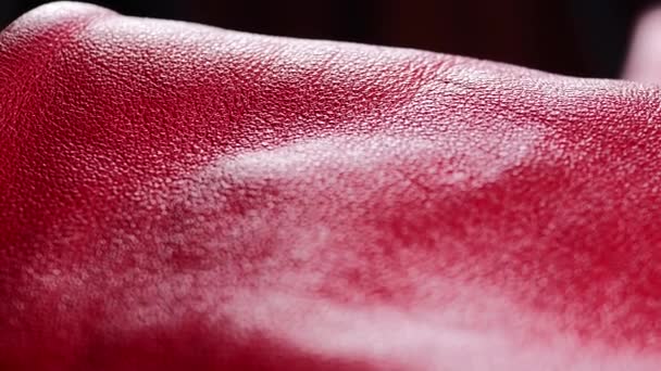 Rotes Leder Textur Hintergrund — Stockvideo