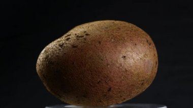 Yeni patates closeup döndürme