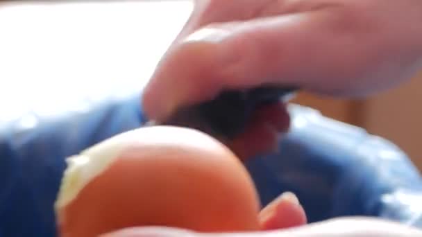 Καθαρίζει τα κρεμμύδια με ένα μαχαίρι — Αρχείο Βίντεο