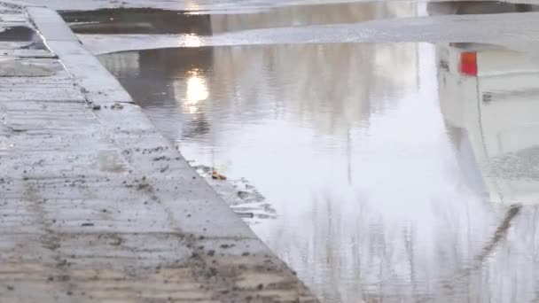 Auto regen grote plas water spray uit de wielen — Stockvideo