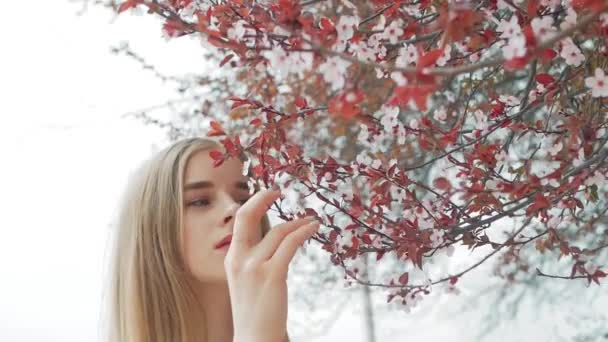 Портрет молодой красивой блондинки в белой рубашке на фоне цветущего дерева — стоковое видео