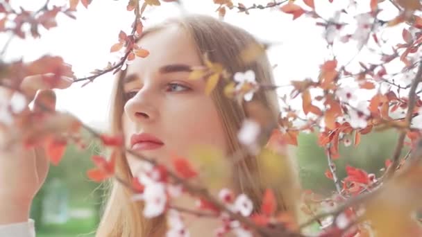 Estilo de vida de verano retrato de moda de joven hermosa rubia mujer hipster elegante con camisa blanca contra el fondo de un árbol floreciente — Vídeos de Stock