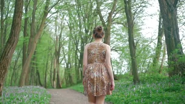 Jeune belle femme marchant forêt au milieu des arbres. Suivez le chemin, l'air frais — Video