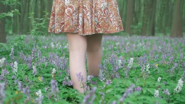Mooie jongedame lopen van bos tussen de bloemen — Stockvideo