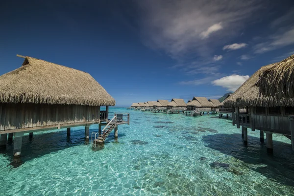 Sofitel Moorea krajina — Stock fotografie