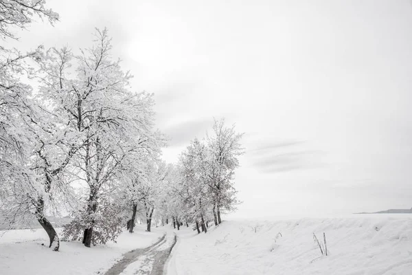 White Snow Winter Landscape Frozen Way Stock Photo