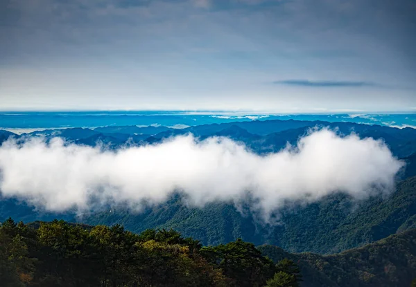 Beautyful bulut float dağ üzerinde
