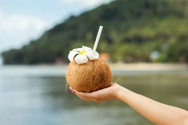 Boisson de noix de coco à la main — Photo