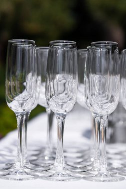 Sıraya dizilmiş boş şarap kadehleri. Tatil için hazırlık