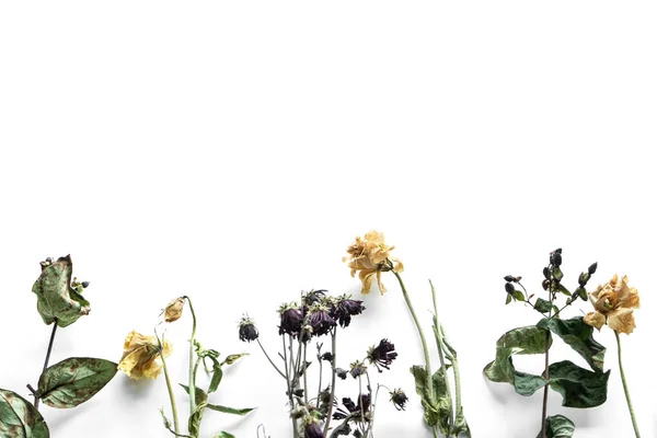 Csokor Hervadt Virágok Fehér Alapon — Stock Fotó