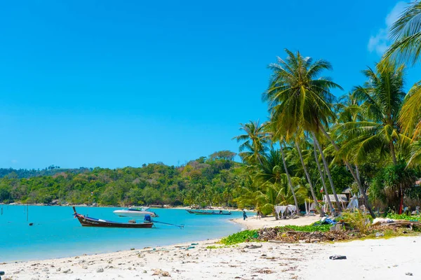 Tropik Plaj Manzarası Mükemmel Beyaz Kum Yeşil Palmiye Ağaçları Mavi — Stok fotoğraf