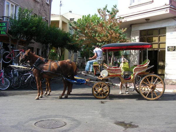 Carros Con Caballos Las Calles Isla Sin Vehículos Estambul Turquía — Foto de Stock