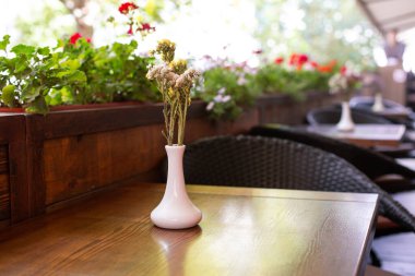 Tenceresinde taze çiçek olan insanların olmadığı bir yaz oyun parkının içinde. Rahat bir kafe.