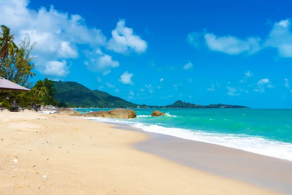 ヤシの木 青い空と澄んだ水と豪華な熱帯砂のビーチ — ストック写真