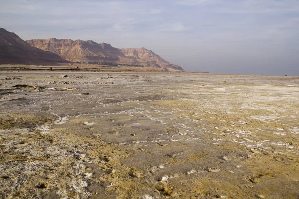 Αλατισμένα έδαφος στην Ιουδαϊκή έρημο κοντά στη νεκρά θάλασσα. Ισραήλ. — Φωτογραφία Αρχείου
