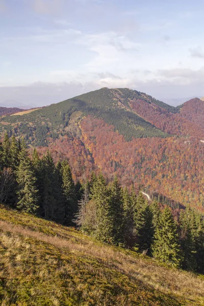 Podzimní krajina Národního parku Malá Fatra, Slovensko, Carpat — Stock fotografie