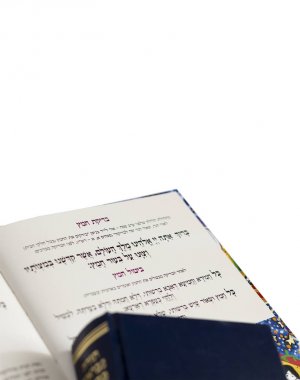 The Haggadah of Pesach Jewish text for Passover Evening. Isolated on white clipart