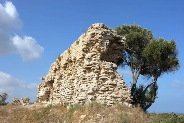 Remnants of the Crusader structures — Stock Photo, Image