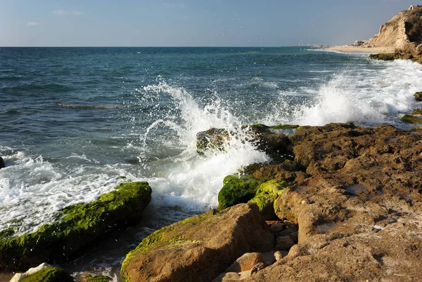 イスラエル南部の地中海沿岸 — ストック写真