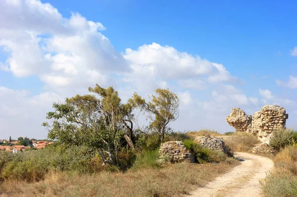 Parque de Ashkelon em Israel — Fotografia de Stock