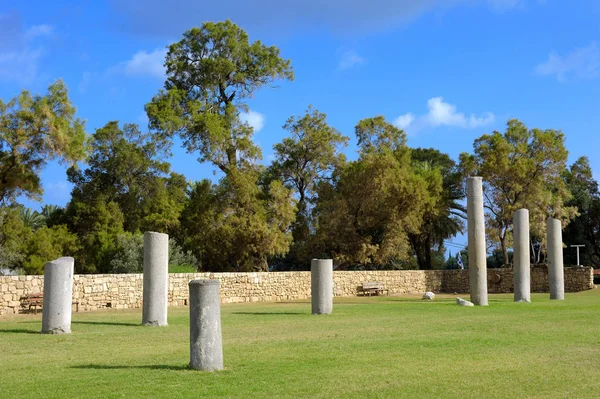 Park of Ashkelon in Israel — Stock Photo, Image