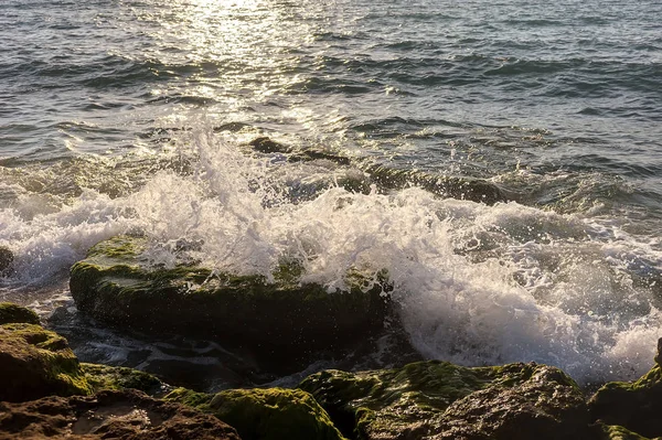 Mediterranean coast in southern Israel — Stock Photo, Image