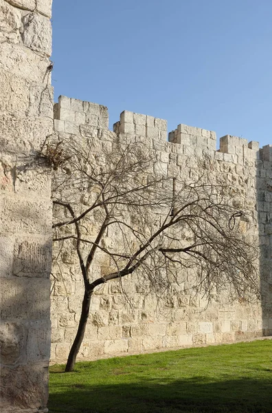 Ancient walls of the old city — Stock Photo, Image