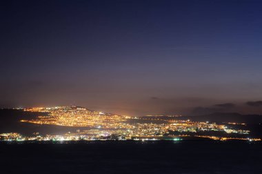 Büyük beyaz çiçek Pancratium maritimum