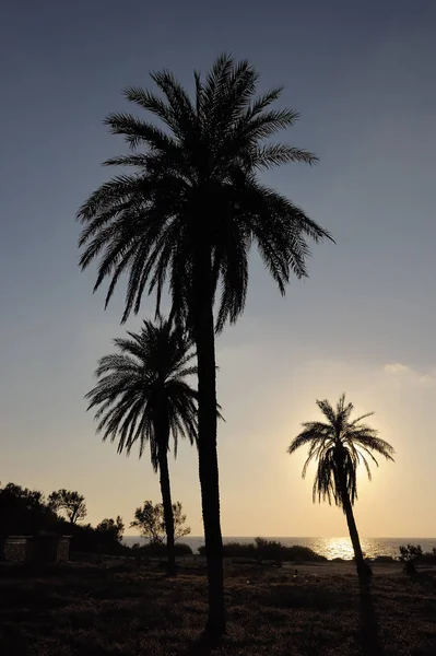 Parc d'Ashkelon en Israël — Photo