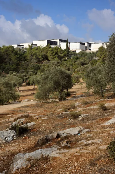 Park in jerusalem — Stockfoto