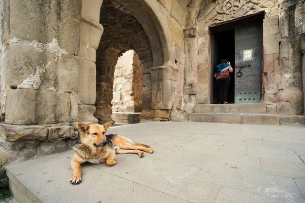 A Catedral de Tsmind Sameba — Fotografia de Stock