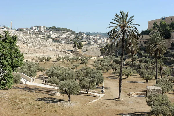 Kidron Valley and Mount of Olives — Stock Photo, Image