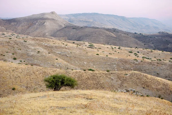 Zbocza wzgórz Golan — Zdjęcie stockowe