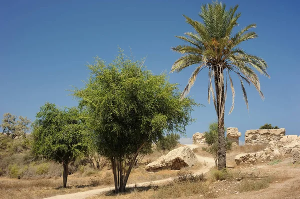 Park van Ashkelon in Israël — Stockfoto