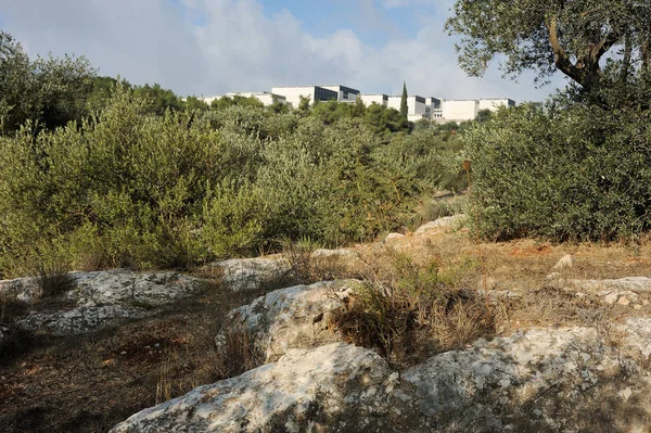 Park i jerusalem — Stockfoto