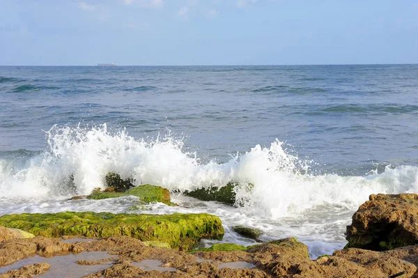 Costa mediterrânica de Israel — Fotografia de Stock