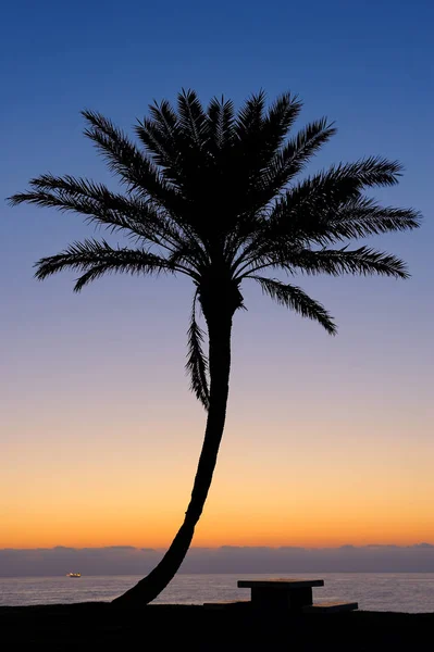 Park of Ashkelon in Israel — Stock Photo, Image