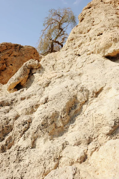 Döda havet bergen — Stockfoto