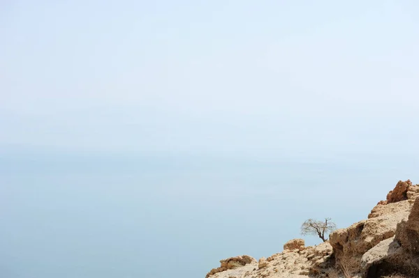 De kust van de dode zee — Stockfoto
