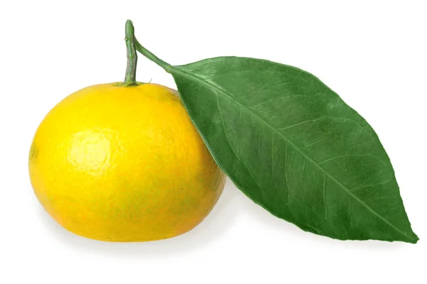 One full fruit of yellow tangerine with green leaf — Stock fotografie