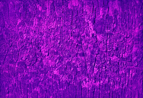 Textura Madera Ultra Violeta Moda Para Fondo —  Fotos de Stock