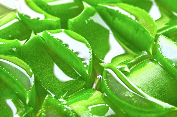 Fresh Green Sliced Aloe Vera Juice Cut — Stock Photo, Image