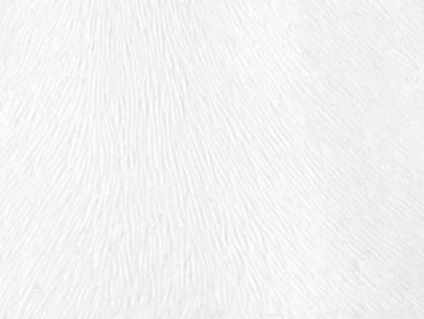 White Empty Wavy Paper Texture Background Copy Space — Stock Photo, Image