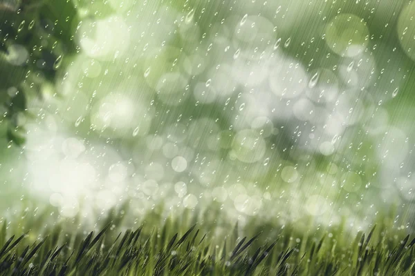 Sonbahar yağmur, güzellik doğal arka plan