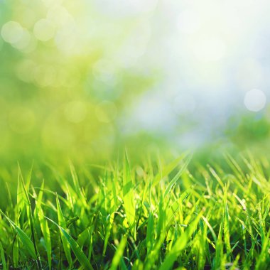 Güzellik Mevsimlik arka plan