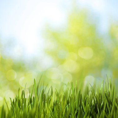 Güzellik Mevsimlik arka plan